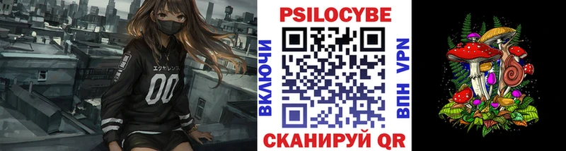 Купить где  Зеленокумск  Галлюциногенные грибы Psilocybe 